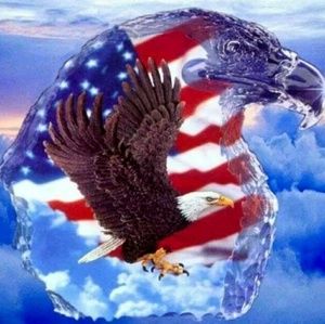 Meet your Posher, Wilma